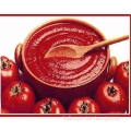 canned tomato paste (HACCP approved)